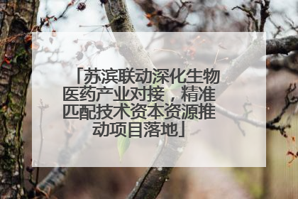 苏滨联动深化生物医药产业对接，精准匹配技术资本资源推动项目落地