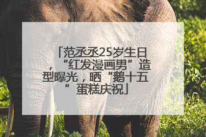 范丞丞25岁生日，“红发漫画男”造型曝光，晒“鹅十五”蛋糕庆祝