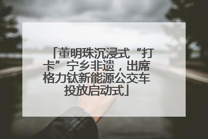 董明珠沉浸式“打卡”宁乡非遗，出席格力钛新能源公交车投放启动式