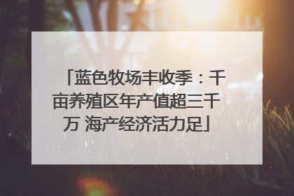 蓝色牧场丰收季：千亩养殖区年产值超三千万 海产经济活力足