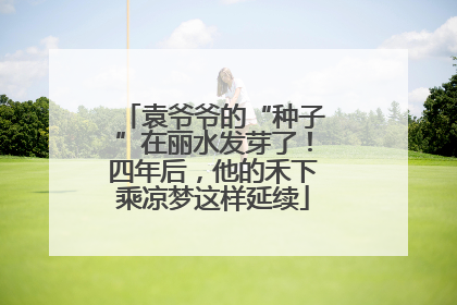 袁爷爷的“种子”在丽水发芽了！四年后，他的禾下乘凉梦这样延续