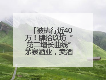 被执行近40万！肆拾玖坊“第二增长曲线”茅泉酒业，卖酒还是卖模式？