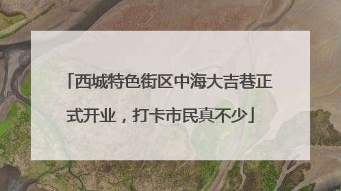 西城特色街区中海大吉巷正式开业，打卡市民真不少