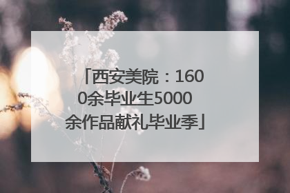 西安美院：1600余毕业生5000余作品献礼毕业季