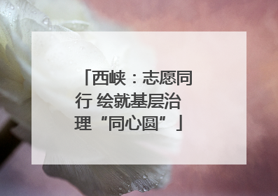 西峡：志愿同行 绘就基层治理“同心圆”