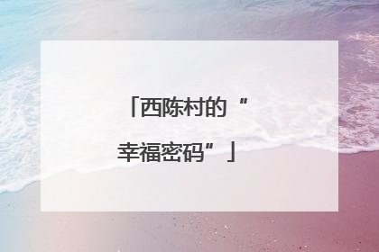 西陈村的“幸福密码”