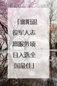 襄阳退役军人志愿服务项目入选全国最佳
