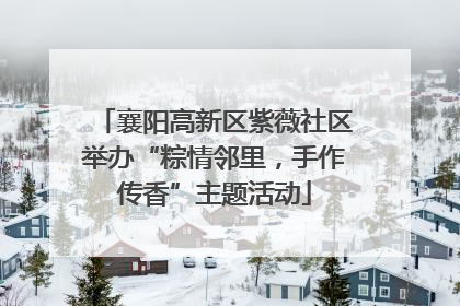 襄阳高新区紫薇社区举办“粽情邻里，手作传香”主题活动