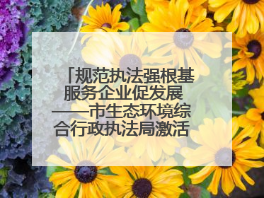 规范执法强根基 服务企业促发展——市生态环境综合行政执法局激活营商环境“绿色动能”