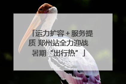 运力扩容＋服务提质 郑州站全力迎战暑期“出行热”
