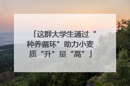 这群大学生通过“种养循环”助力小麦质“升”量“高”