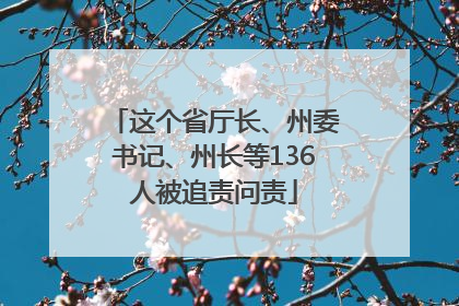 这个省厅长、州委书记、州长等136人被追责问责