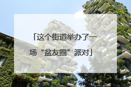 这个街道举办了一场“盆友圈”派对