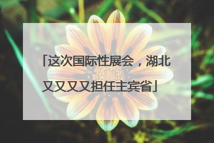 这次国际性展会,湖北又又又又担任主宾省