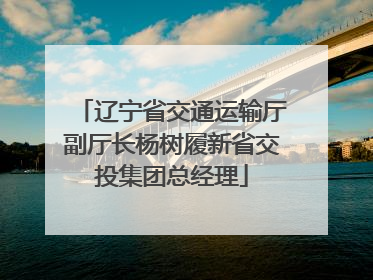 辽宁省交通运输厅副厅长杨树履新省交投集团总经理
