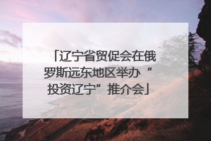 辽宁省贸促会在俄罗斯远东地区举办“投资辽宁”推介会