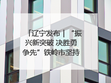 辽宁发布｜“振兴新突破 决胜勇争先”铁岭市坚持“项目为王”推进经济高质量发展