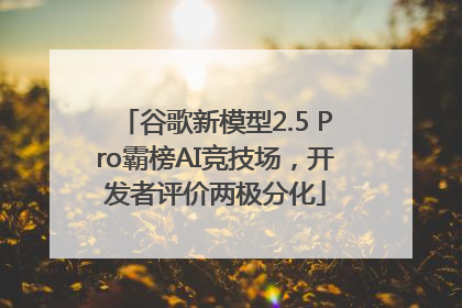 谷歌新模型2.5 Pro霸榜AI竞技场，开发者评价两极分化