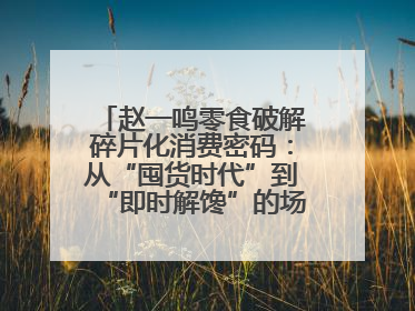 赵一鸣零食破解碎片化消费密码：从“囤货时代”到“即时解馋”的场景革新
