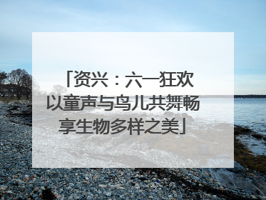 资兴：六一狂欢 以童声与鸟儿共舞畅享生物多样之美