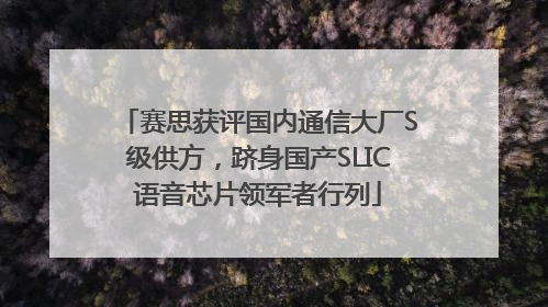 赛思获评国内通信大厂S级供方，跻身国产SLIC语音芯片领军者行列