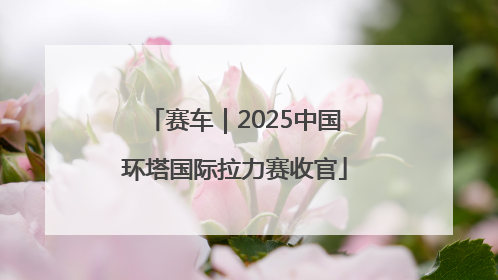 赛车｜2025中国环塔国际拉力赛收官