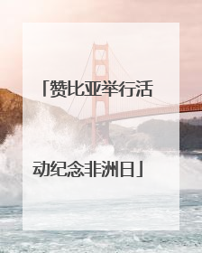 赞比亚举行活动纪念非洲日