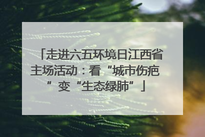 走进六五环境日江西省主场活动：看“城市伤疤”变“生态绿肺”
