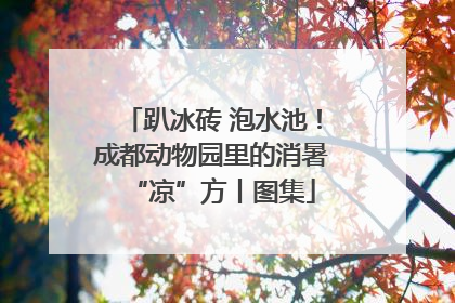 趴冰砖 泡水池！成都动物园里的消暑“凉”方丨图集
