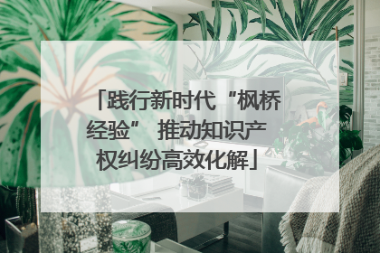 践行新时代“枫桥经验” 推动知识产权纠纷高效化解