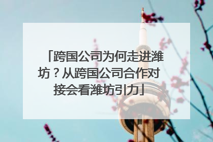 跨国公司为何走进潍坊？从跨国公司合作对接会看潍坊引力