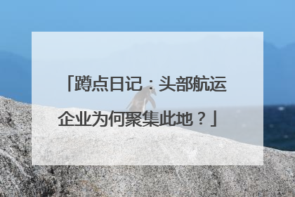 蹲点日记：头部航运企业为何聚集此地？