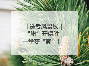 送考风景线｜“旗”开得胜 一举夺“葵”