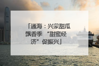 通海：兴蒙甜瓜飘香季 “甜蜜经济”促振兴