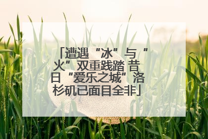 遭遇“冰”与“火”双重践踏 昔日“爱乐之城”洛杉矶已面目全非