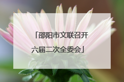 邵阳市文联召开六届二次全委会