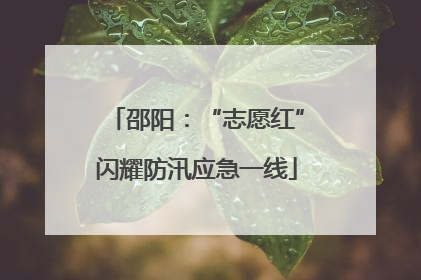 邵阳：“志愿红”闪耀防汛应急一线