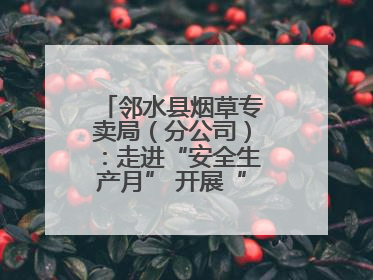 邻水县烟草专卖局（分公司）：走进“安全生产月” 开展“安全大练兵”