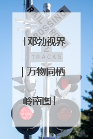 邓勃视界｜万物同栖岭南图