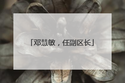 邓慧敏，任副区长