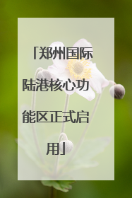 郑州国际陆港核心功能区正式启用
