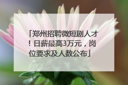 郑州招聘微短剧人才！日薪最高3万元，岗位要求及人数公布