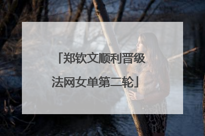 郑钦文顺利晋级法网女单第二轮