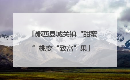 郧西县城关镇“甜蜜”桃变“致富”果