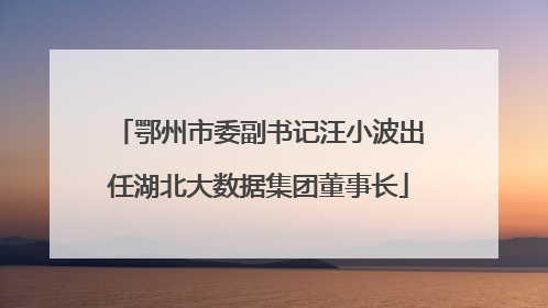鄂州市委副书记汪小波出任湖北大数据集团董事长