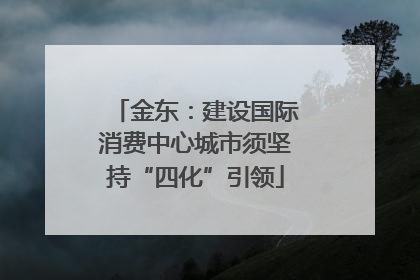 金东：建设国际消费中心城市须坚持“四化”引领