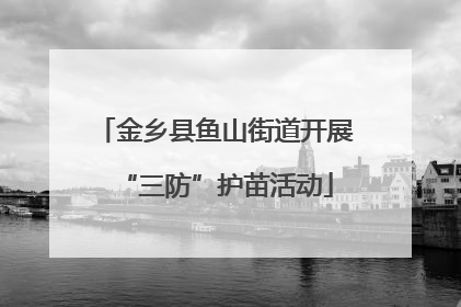 金乡县鱼山街道开展“三防”护苗活动