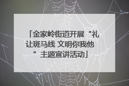 金家岭街道开展“礼让斑马线 文明你我他”主题宣讲活动