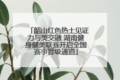 韶山红色热土见证力与美交融 湖南健身健美联赛开启全国赛事晋级通道
