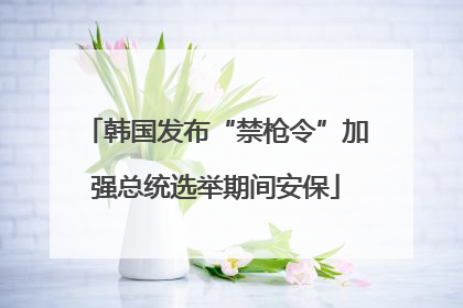 韩国发布“禁枪令”加强总统选举期间安保
